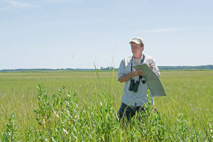 Greg Shriver conducts field work on bird habitats.