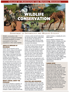 wildlife major