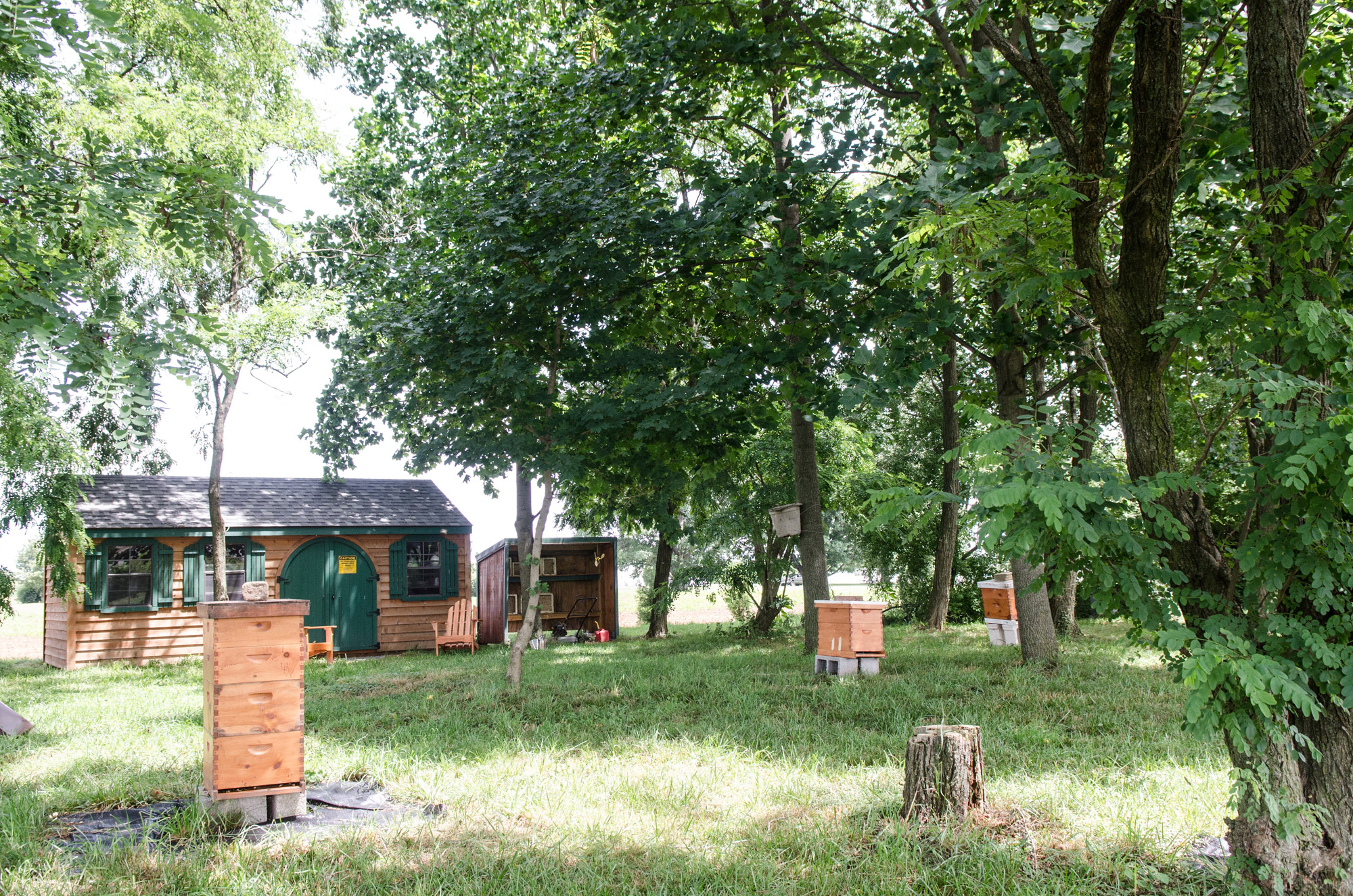 Apiaries