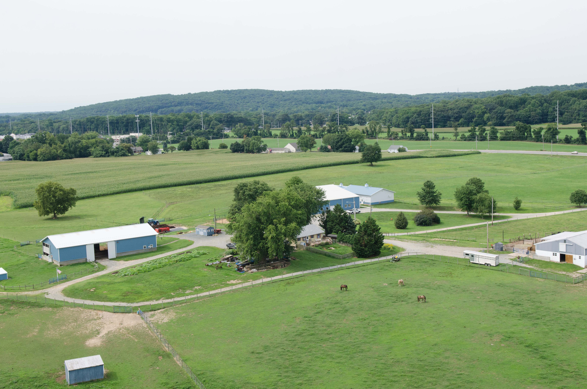 Webb Farm