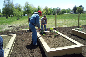 UD Cooperative Extension is assisting with local urban gardens and farms.
