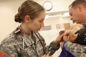 Vet-Dog