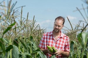 Blake Meyers, the Edward F. and Elizabeth Goodman Rosenberg Professor and Chair for Plant and Soil Sciences in the College of Agriculture and Natural Resources, along with his research team Kun Huang, Atul Kakrana, Parth Patel, TC, Saleh Tamim, Reza Hammond, and Sandra Mathioni in plots of corn on the UD farm. Dr. Meyers's "research includes programs that emphasize bioinformatics and plant functional genomics."