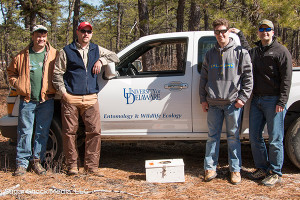 UD part of study to bring bobwhite quail back to New Jersey Pine Barrens