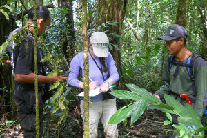 Sarah Weiskopf studied leeches to look at mammal biodiversity in Sumatra