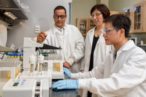 Drs. Deb Jaisi, Yan Jin and Dengjun Wang are doing research involving how nanoparticles can help with the phosphorous release in soil.